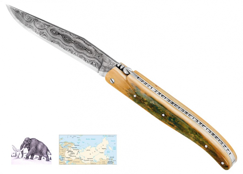 Damascus blade - Mammoth ivory - Laguiole «Savage» Collection - Couteau pliant de prestige - collection sauvage   Manche en Ivoi