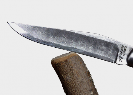 Bois de Fer d’Arizona - Couteaux pliants - Couteau pliant de prestige - collection sauvage   Manche en Bois de Fer et platine en