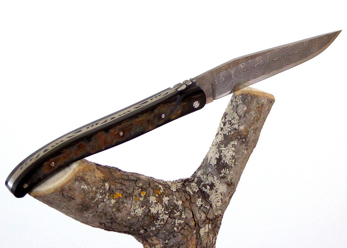 Damascus blade - Buffalo hoen - Laguiole «Savage» Collection - Laguiole folding knife - Savage edition   Handle made with Buffal