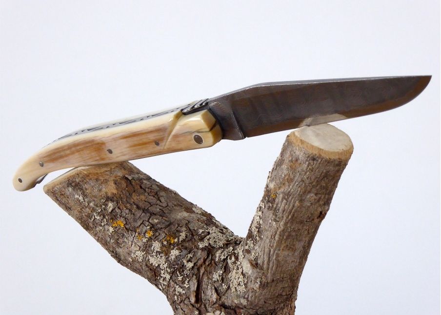 Damascus blade - Mammoth ivory - Laguiole «Savage» Collection - Couteau pliant de prestige - collection sauvage   Manche en Ivoi