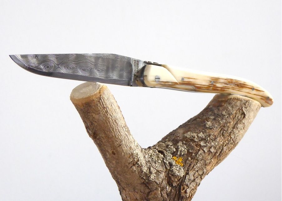 Damascus blade - Mammoth ivory - Laguiole «Savage» Collection - Couteau pliant de prestige - collection sauvage   Manche en Ivoi