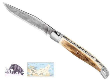 Ivoire vs mammouth : informations utiles Ivoire ou mammouth : ce qu’il faut savoir sur les matières fossiles pour un manche de couteau