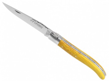 Couteau Laguiole traditionnel 1 mitre inox : visuel de la gamme