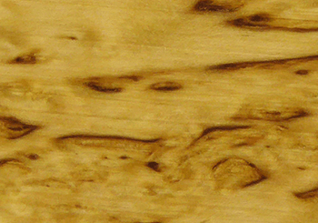 Laguiole knife handle in birch wood