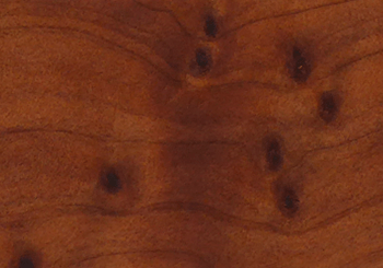Laguiole knife handle in thuja root wood (burl)